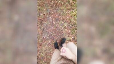 Walking around the park