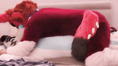 Murrsuiting with a Dragon