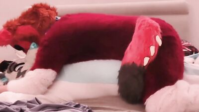 Murrsuiting with a Dragon