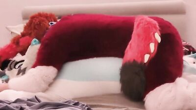 Murrsuiting with a Dragon