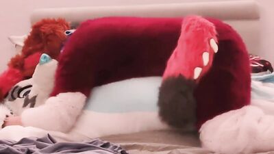 Murrsuiting with a Dragon