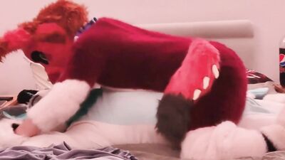 Murrsuiting with a Dragon