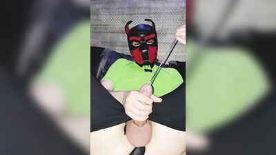 Pup gay fetish