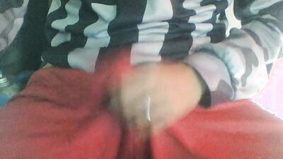 LEVANTANDOME AL MEDIODIA