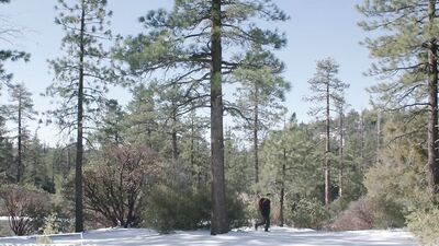 Bound Twink Becomes Wild Man On Hiking Training Camp - Adam Ramzi, Troye Jacobs