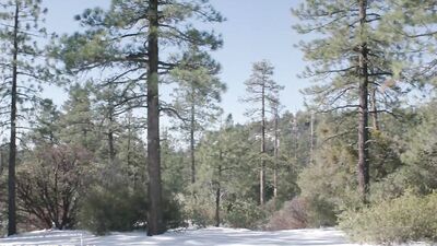 Bound Twink Becomes Wild Man On Hiking Training Camp - DisruptiveFilms