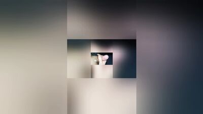 compilation Sperma