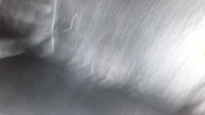 Fucking my Office-Chair in bed