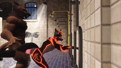 Wolfs fuck at the gym