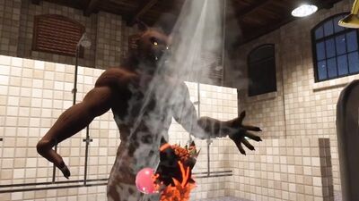 Wolfs fuck at the gym