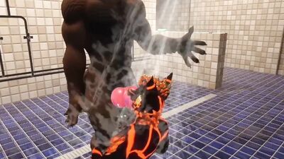 Wolfs fuck at the gym