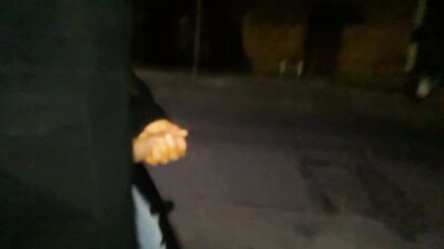 estoy en el parque, disfrutando de una fresca manana...