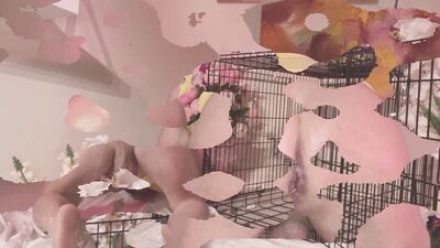Easter Nightmare