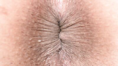 Man's Butt Hole Imagesvideos