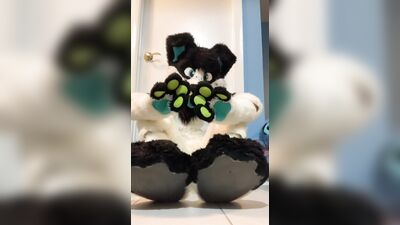 Furry shows off feet & fucks a plushie