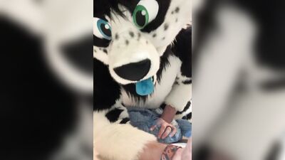 Furry shows off feet & fucks a plushie