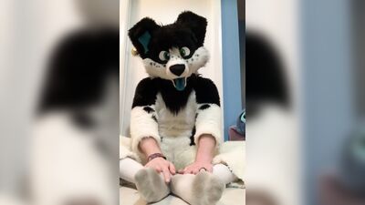 Furry shows off feet & fucks a plushie