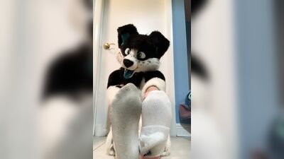 Furry shows off feet & fucks a plushie
