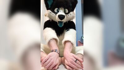 Furry shows off feet & fucks a plushie