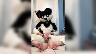 Furry shows off feet & fucks a plushie