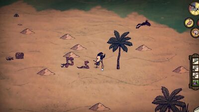 Don't Starve Shipwreck