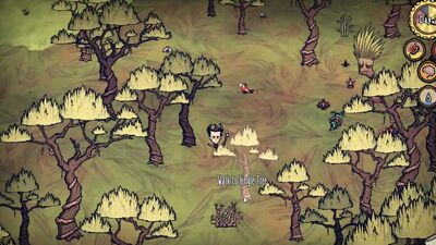 Don't Starve Shipwreck