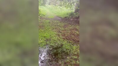 Left clothes and cum after a long walk naked