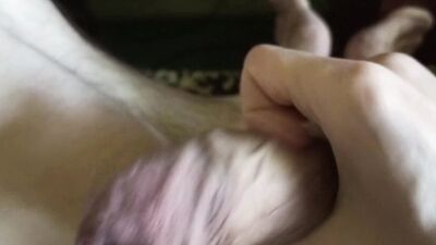 My hose is cumming in your mouth !