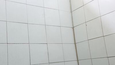 Washing my cock Rich shower number 6