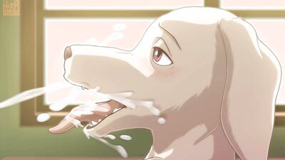 Furry Yaoi Hentai Bara / Animation Comic Cartoon Beastars Compilation