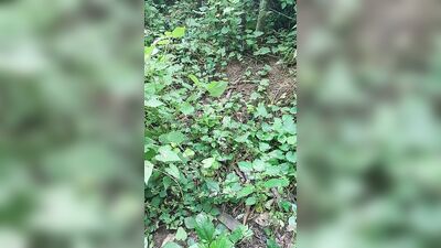 Asi sembramos en el campo ????????