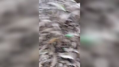 Asi sembramos en el campo ????????