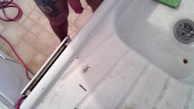 An unusual 'handyman' finds some new tools to add to his toolbox...