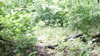 Off The Trail