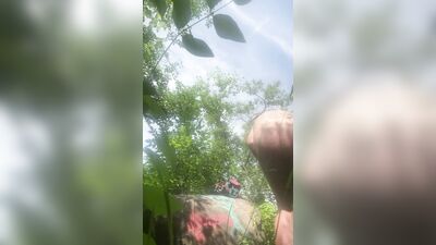 Bush Bate ll with BriggsBanner