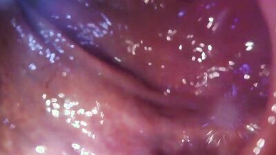 Fucking myself with my pup - internal only