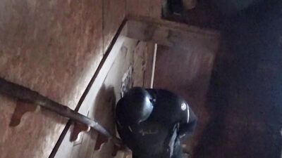double cocked fantasy in a wetsuit