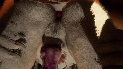 WildLife - Zummon fucking with a Fox - Furry Yaoi Yiff