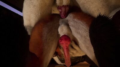 WildLife - Zummon fucking with a Fox - Furry Yaoi Yiff