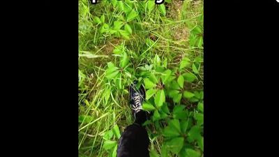 Twink started masturbating when he was walking in the forest with you