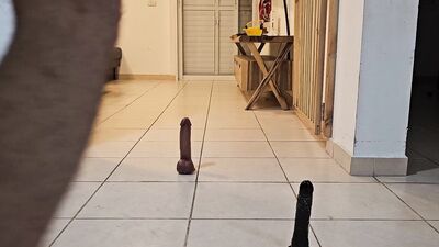 dildo ass
