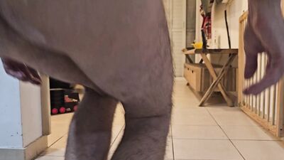 dildo ass