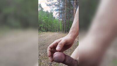 Forestgap