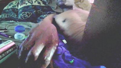 Big Black Cock throbs with Anal vibrator DEEP in tight Fleshlight ass