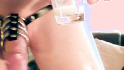 Remasturbated Cock Harness and Shot Glass with Slowmo Cum Clip