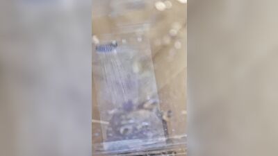 I used Water Pump to Pumped my Small Penis