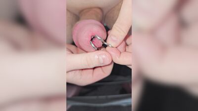 I try out my new penis stretchers, while I push other plugs completely in.