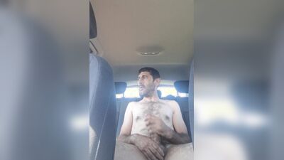 Paja en el asiento de atrás del coche
