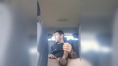 Paja en el asiento de atrás del coche