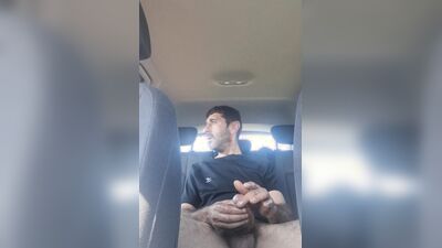 Paja en el asiento de atrás del coche